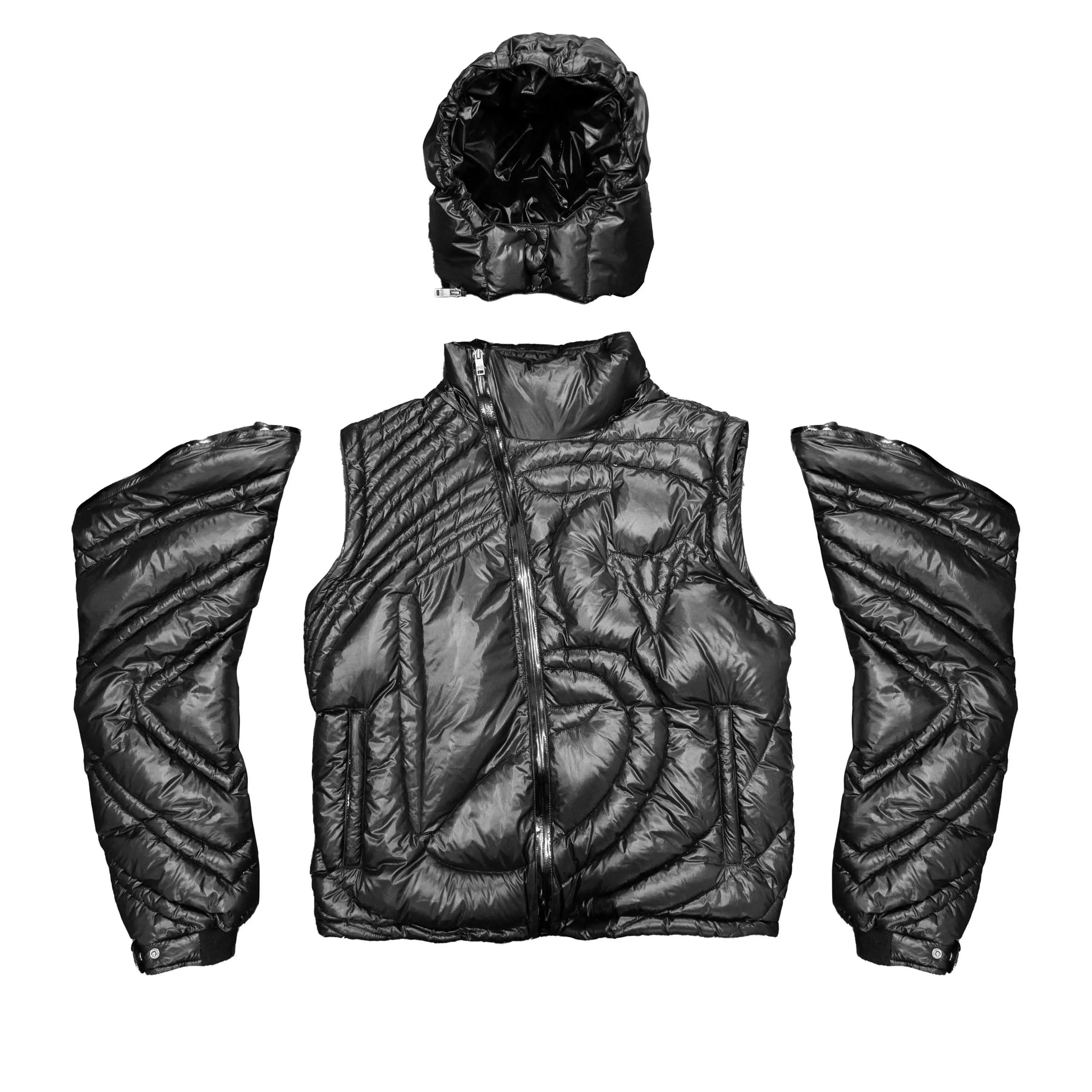 C Panel Puffer Corvidae