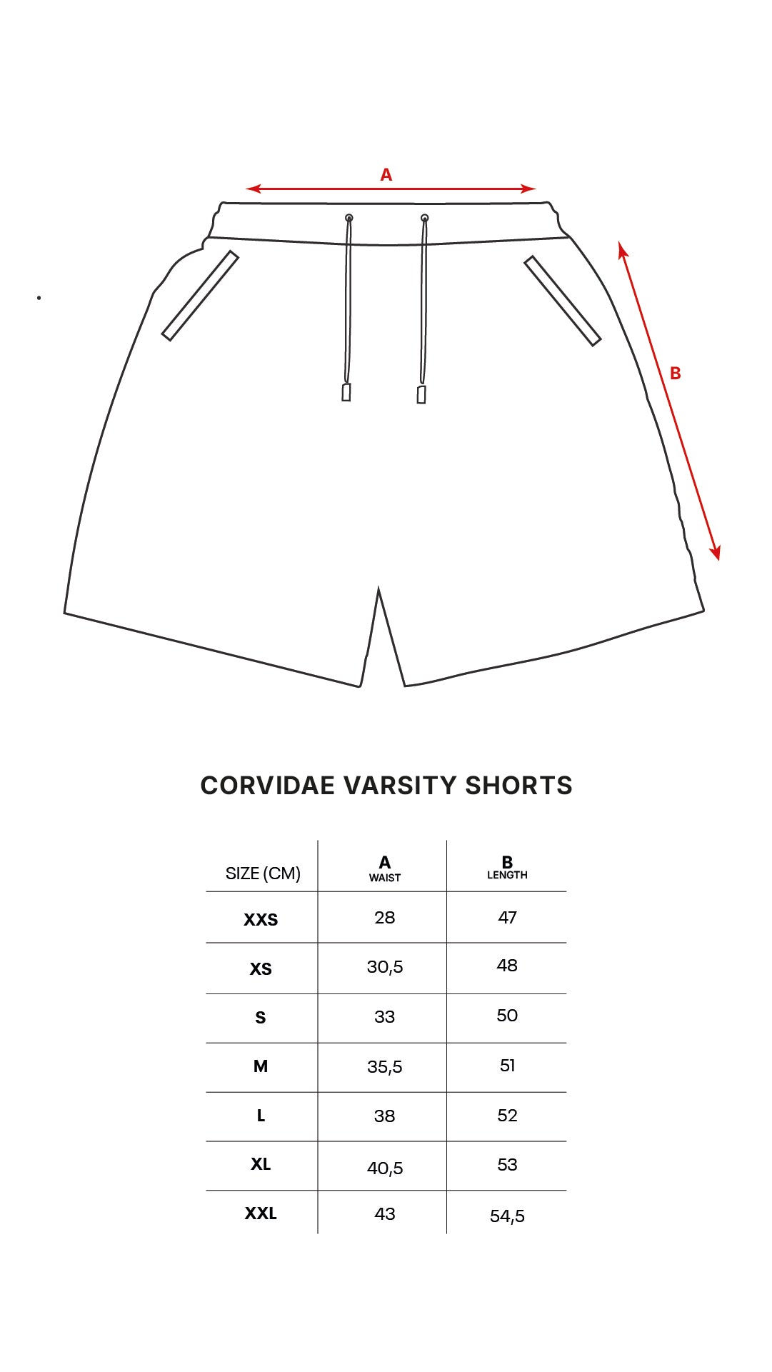 Varsity Shorts (Black)