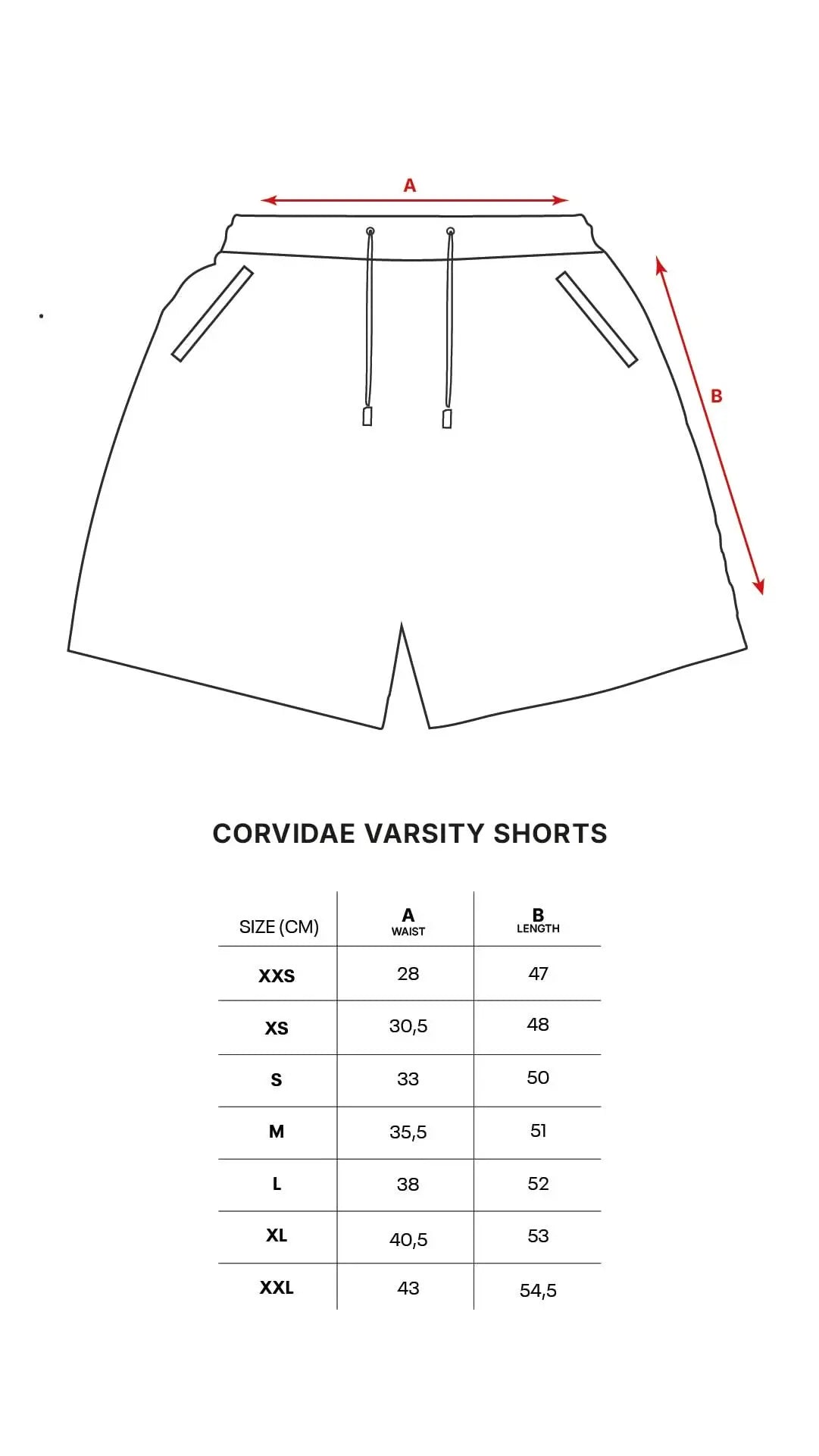 Varsity Shorts (Grey) Corvidae