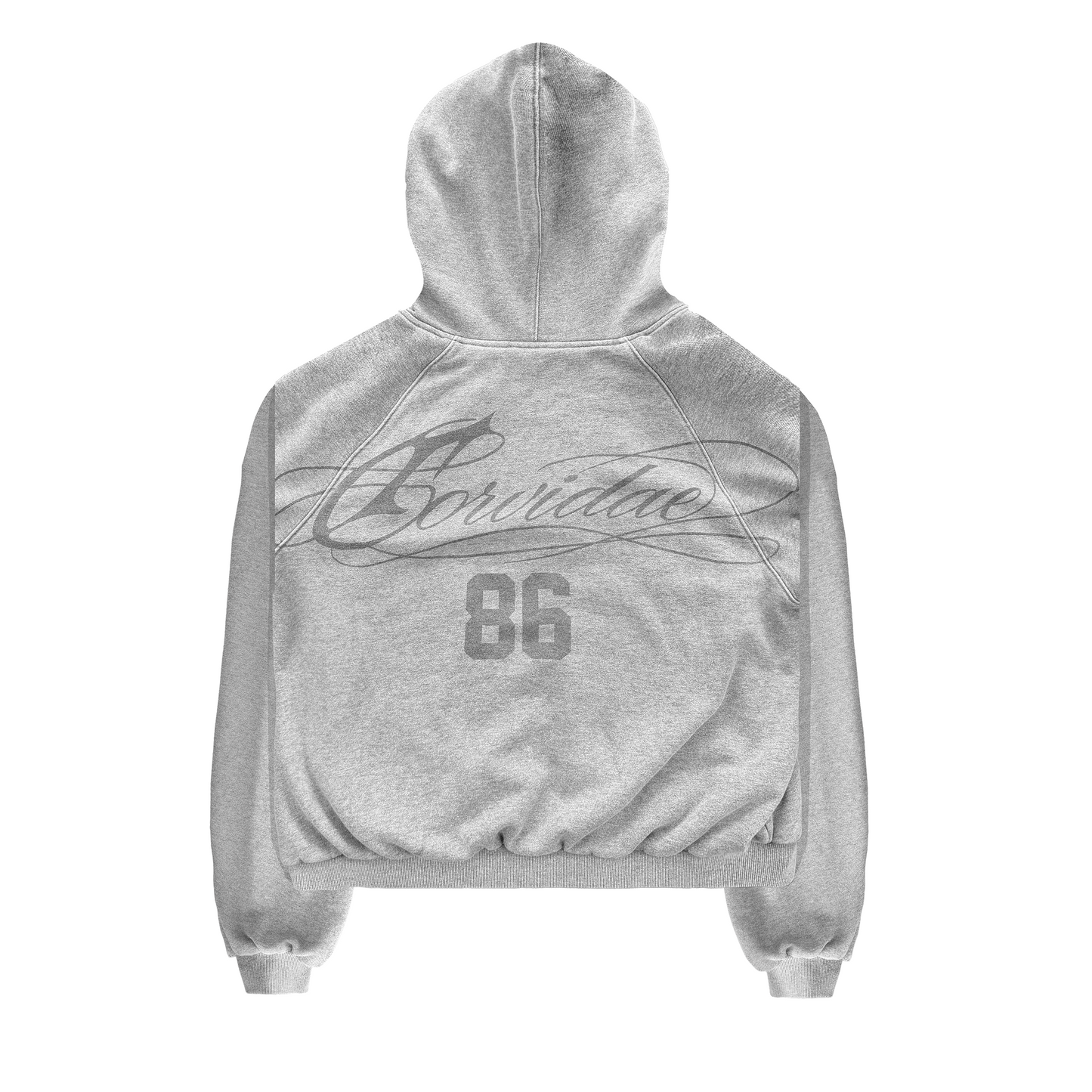 Sun Faded Script Reversible Hoodie Grey
