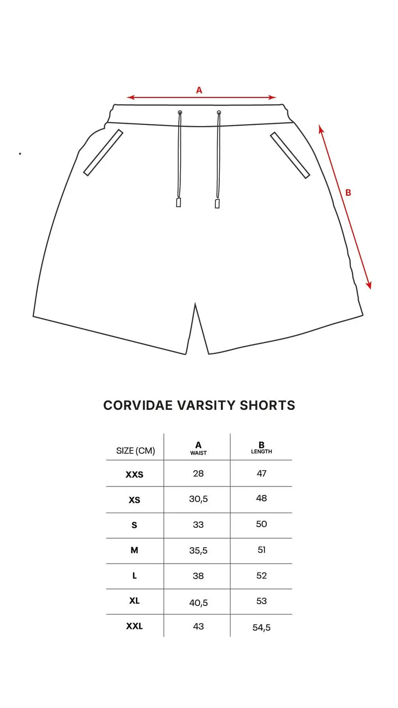 Varsity Shorts (Grey) size chart